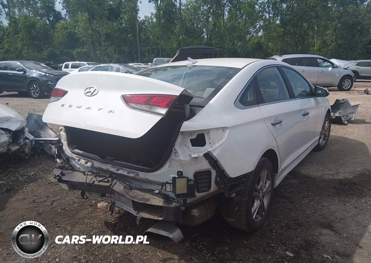 2019 Hyundai Sonata Sel VIN:5NPE34AF9KH778715 - 4