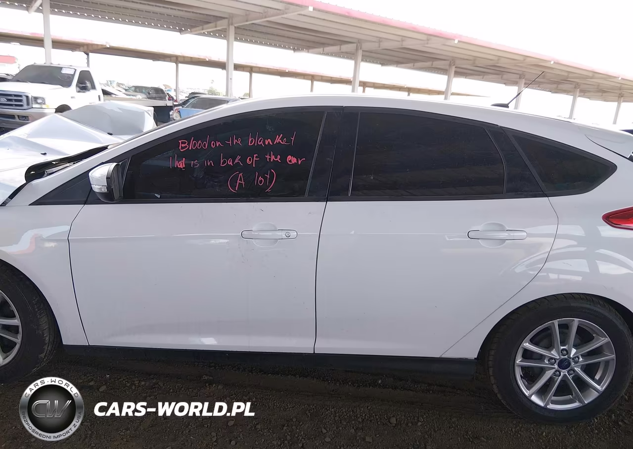 2016 Ford Focus Se VIN:1FADP3K2XGL289951 - 13