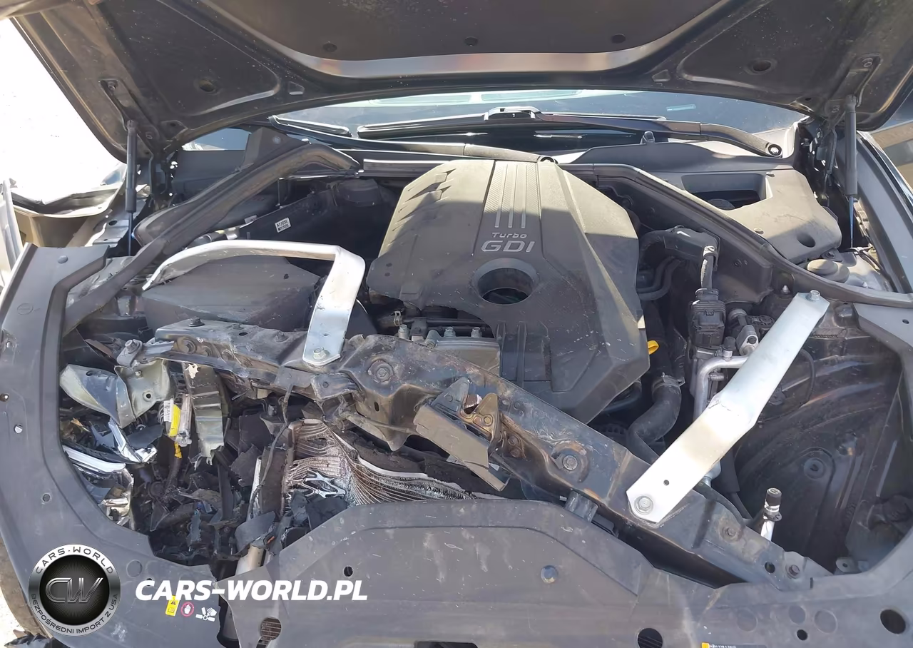 2023 Genesis G70 2.0T Awd VIN:KMTG34TA3PU123118 - 10
