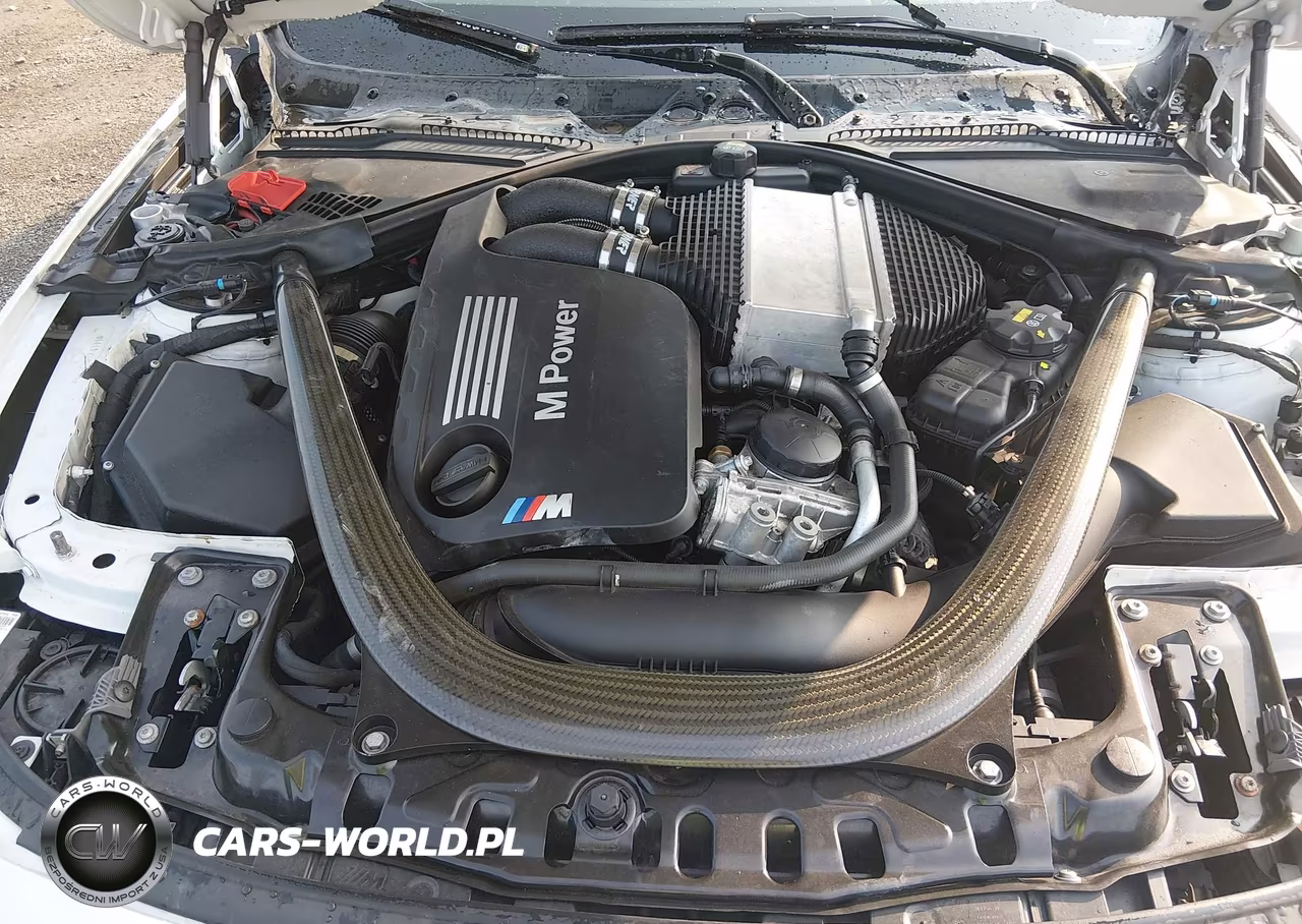 2015 BMW M4 VIN:WBS3R9C52FK331196 - 10