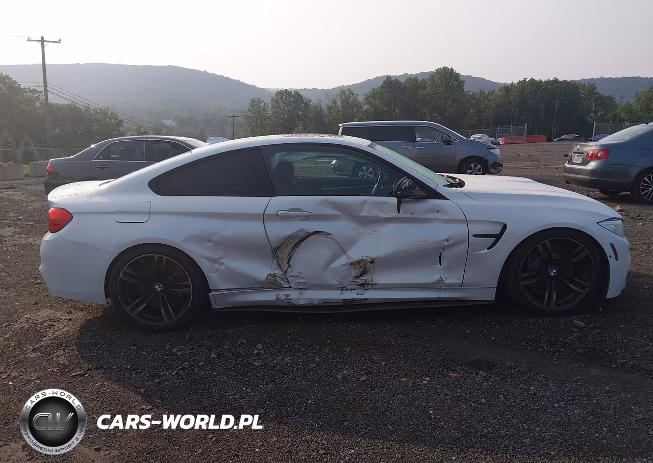 2015 BMW M4 VIN:WBS3R9C52FK331196 - 13