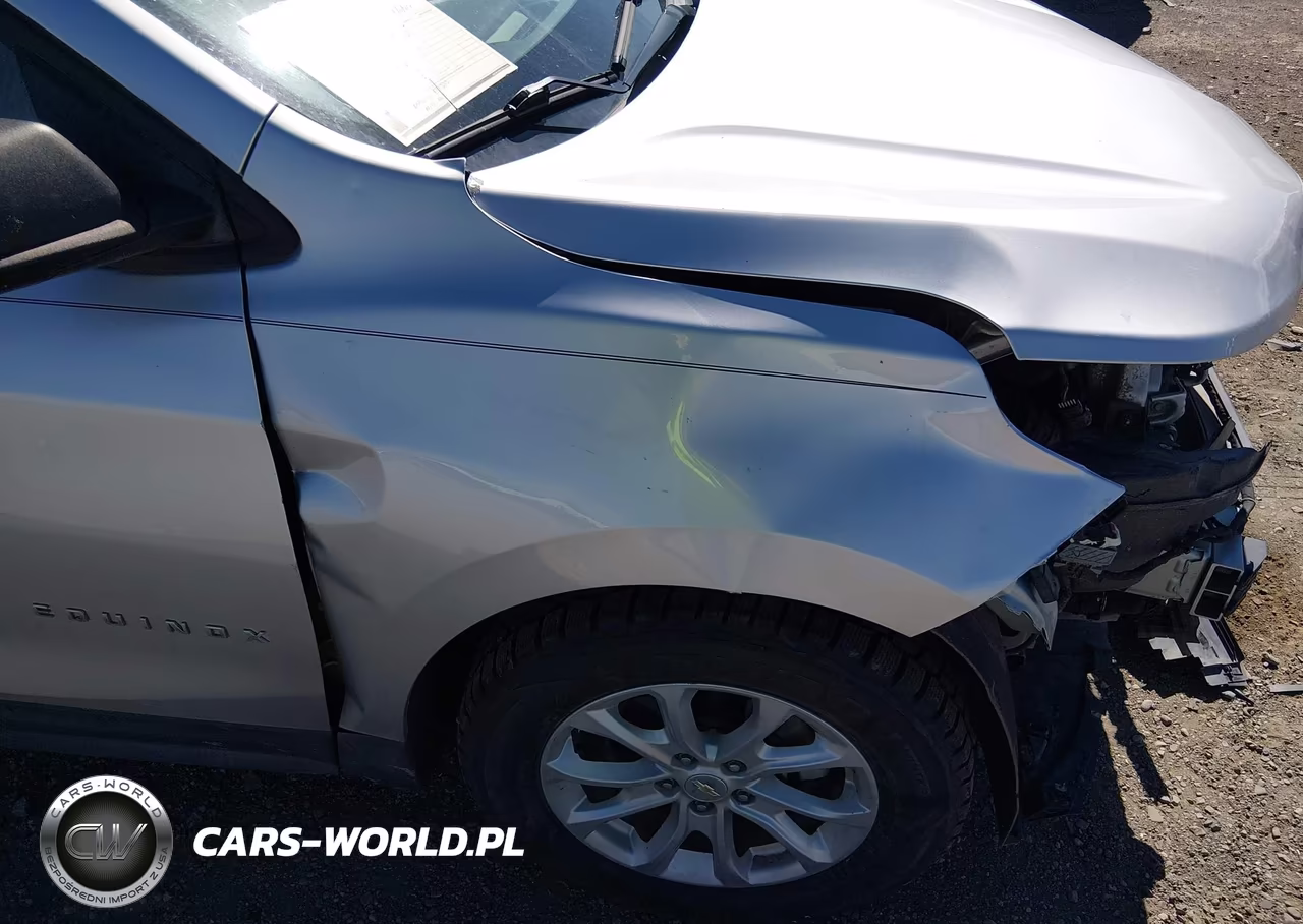 2019 Chevrolet Equinox Ls VIN:3GNAXSEVXKS505241 - 18