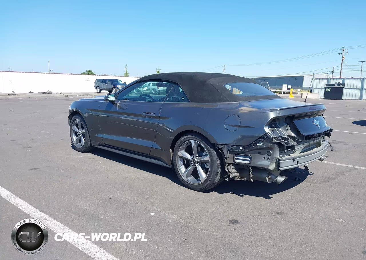 2017 Ford Mustang V6 VIN:1FATP8EM7H5239732 - 3