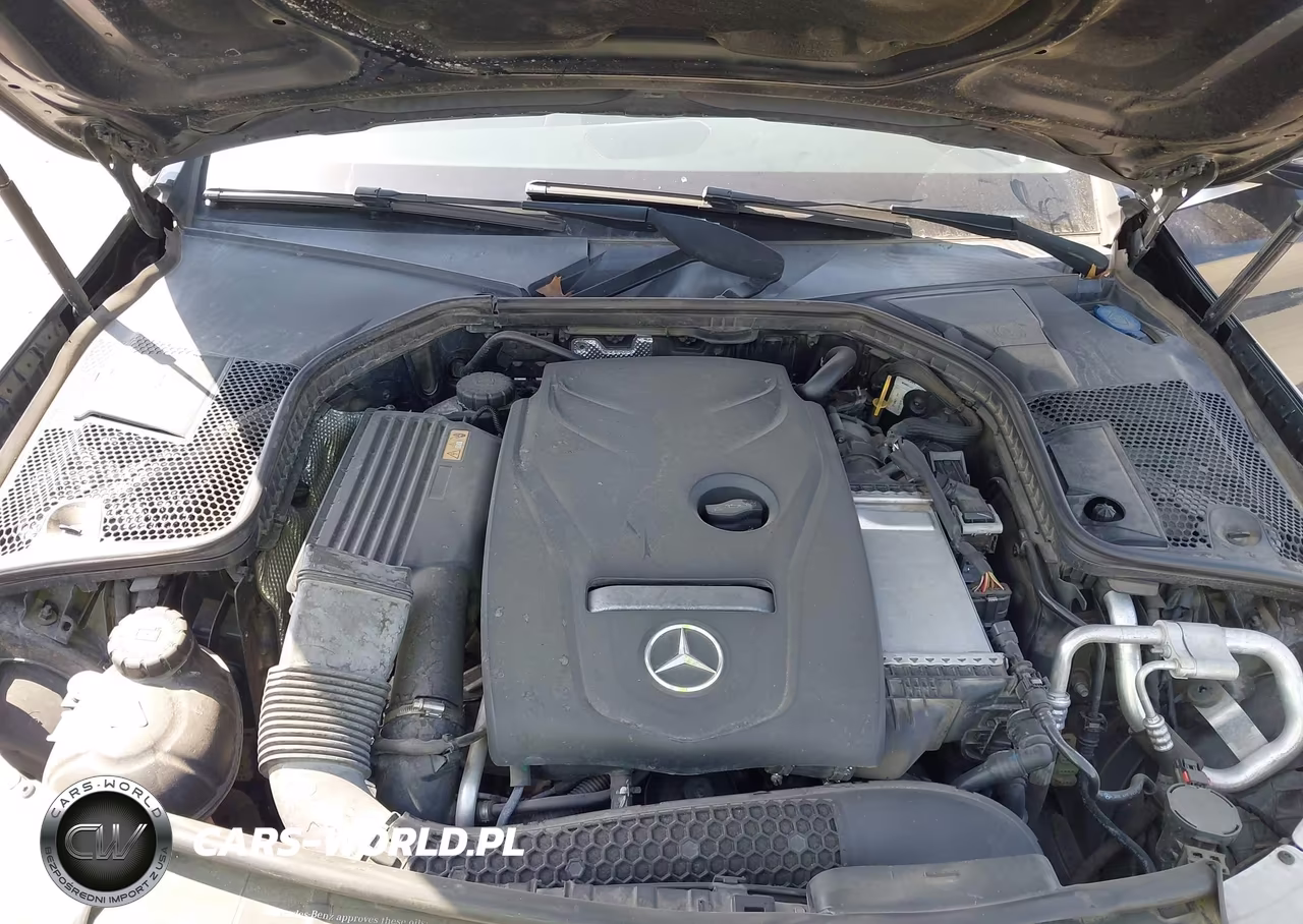 2017 Mercedes-Benz C 300 VIN:55SWF4JB3HU196799 - 10