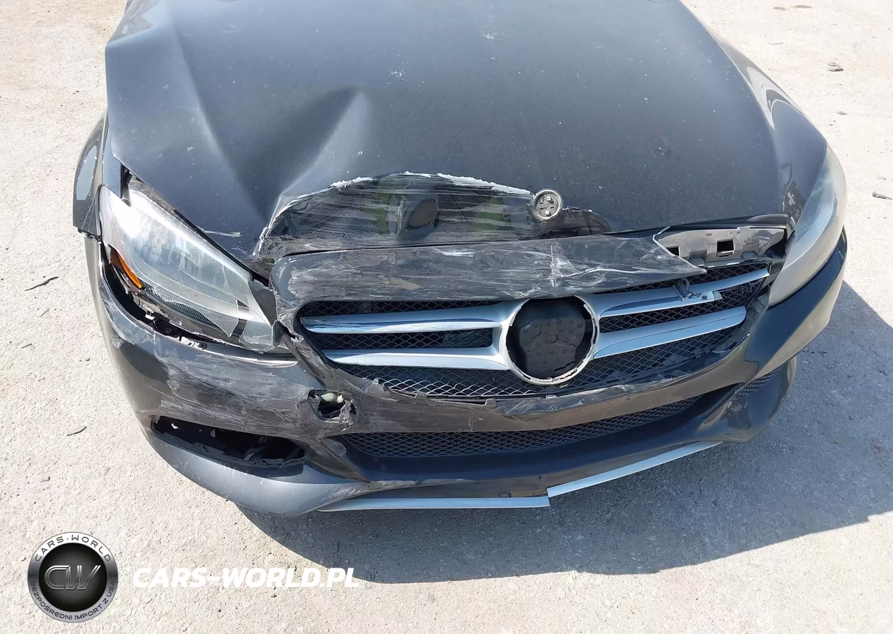 2017 Mercedes-Benz C 300 VIN:55SWF4JB3HU196799 - 17