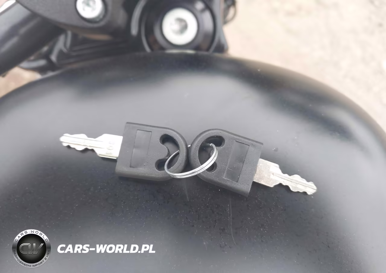 2010 Harley-Davidson Xl883 N VIN:1HD4LE212AC435337 - 11