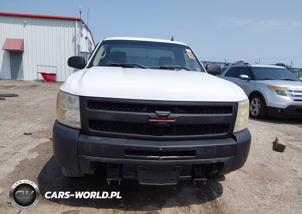2009 Chevrolet Silverado 1500 Work Truck VIN:1GCEK14059Z100961 - 12