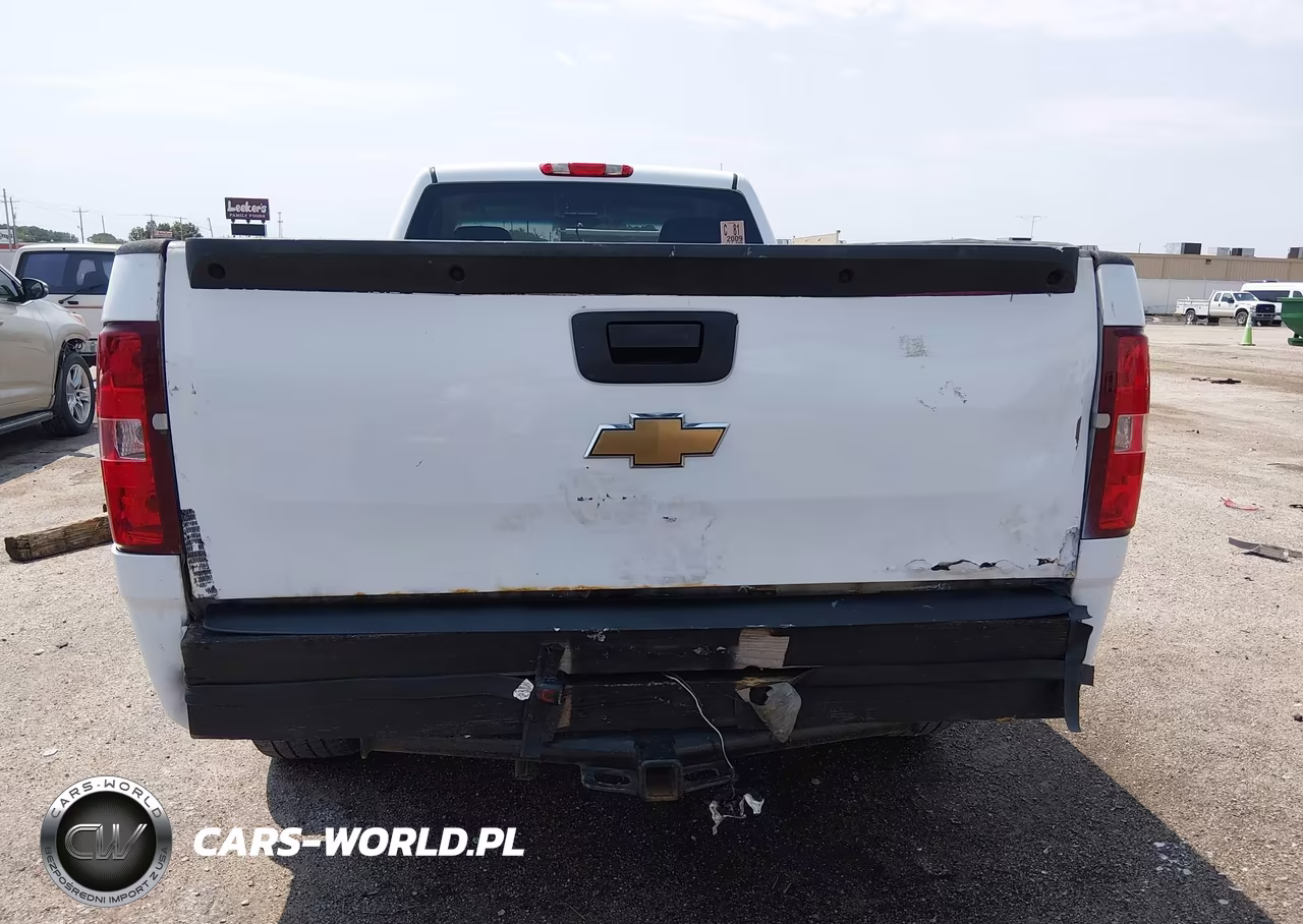 2009 Chevrolet Silverado 1500 Work Truck VIN:1GCEK14059Z100961 - 16