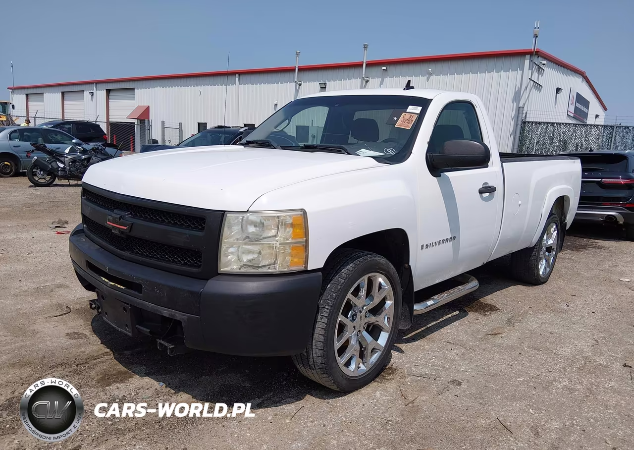2009 Chevrolet Silverado 1500 Work Truck VIN:1GCEK14059Z100961 - 2