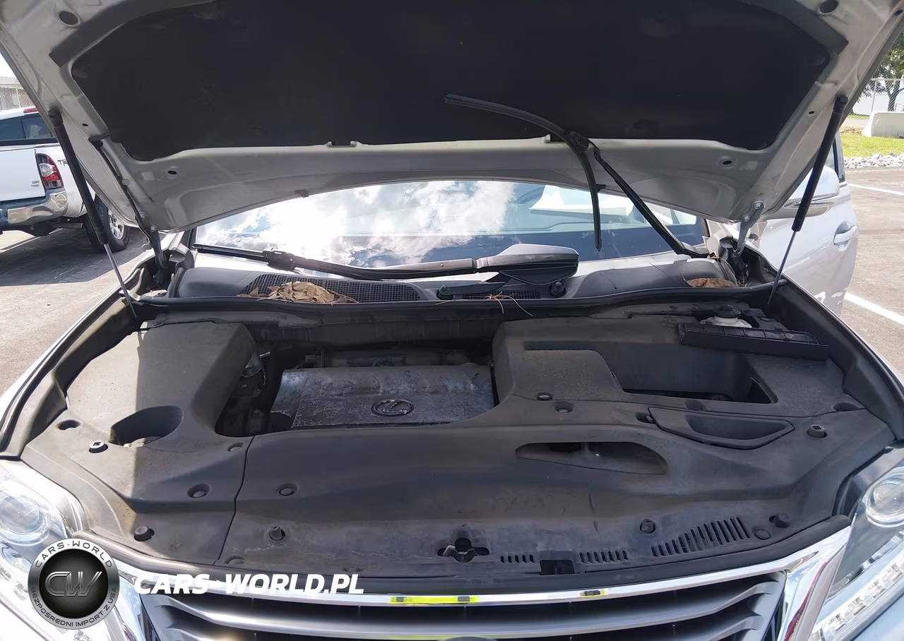 2015 Lexus Rx 350 VIN:2T2BK1BA4FC339787 - 10