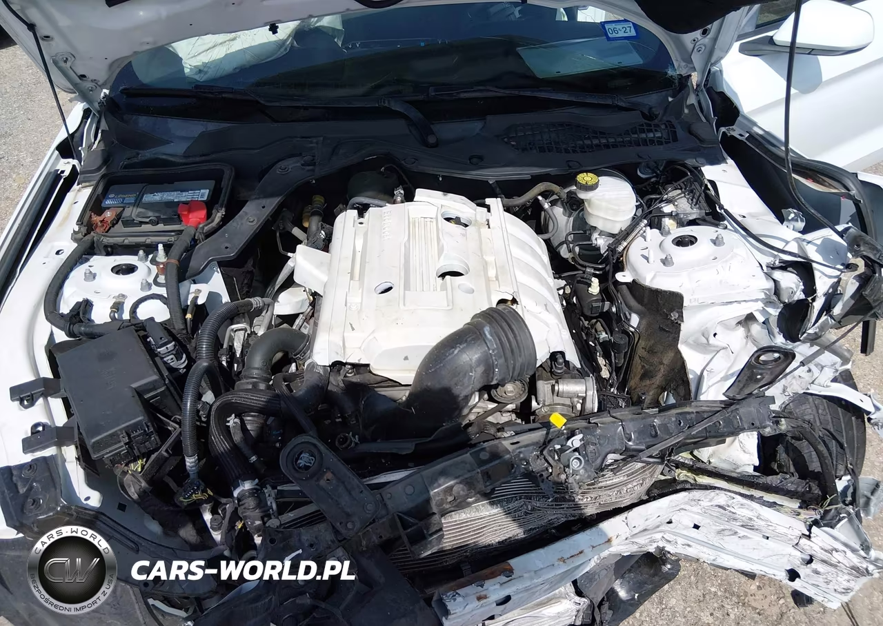 2019 Ford Mustang Ecoboost VIN:1FA6P8TH7K5123179 - 10
