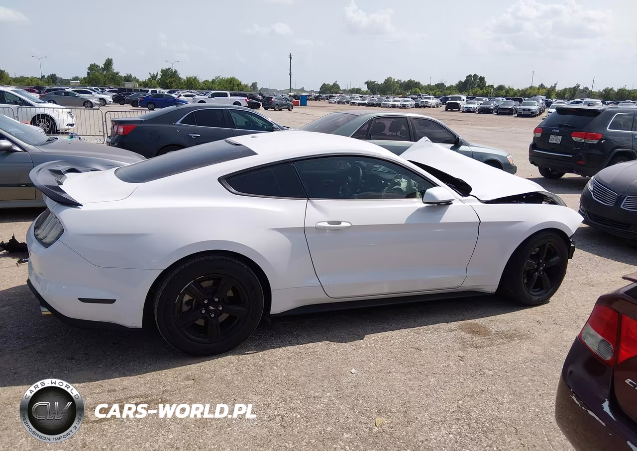 2019 Ford Mustang Ecoboost VIN:1FA6P8TH7K5123179 - 14