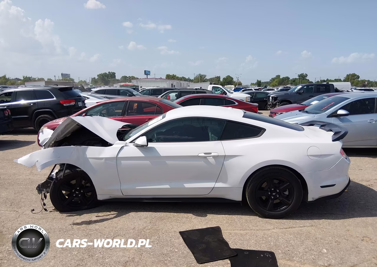 2019 Ford Mustang Ecoboost VIN:1FA6P8TH7K5123179 - 15