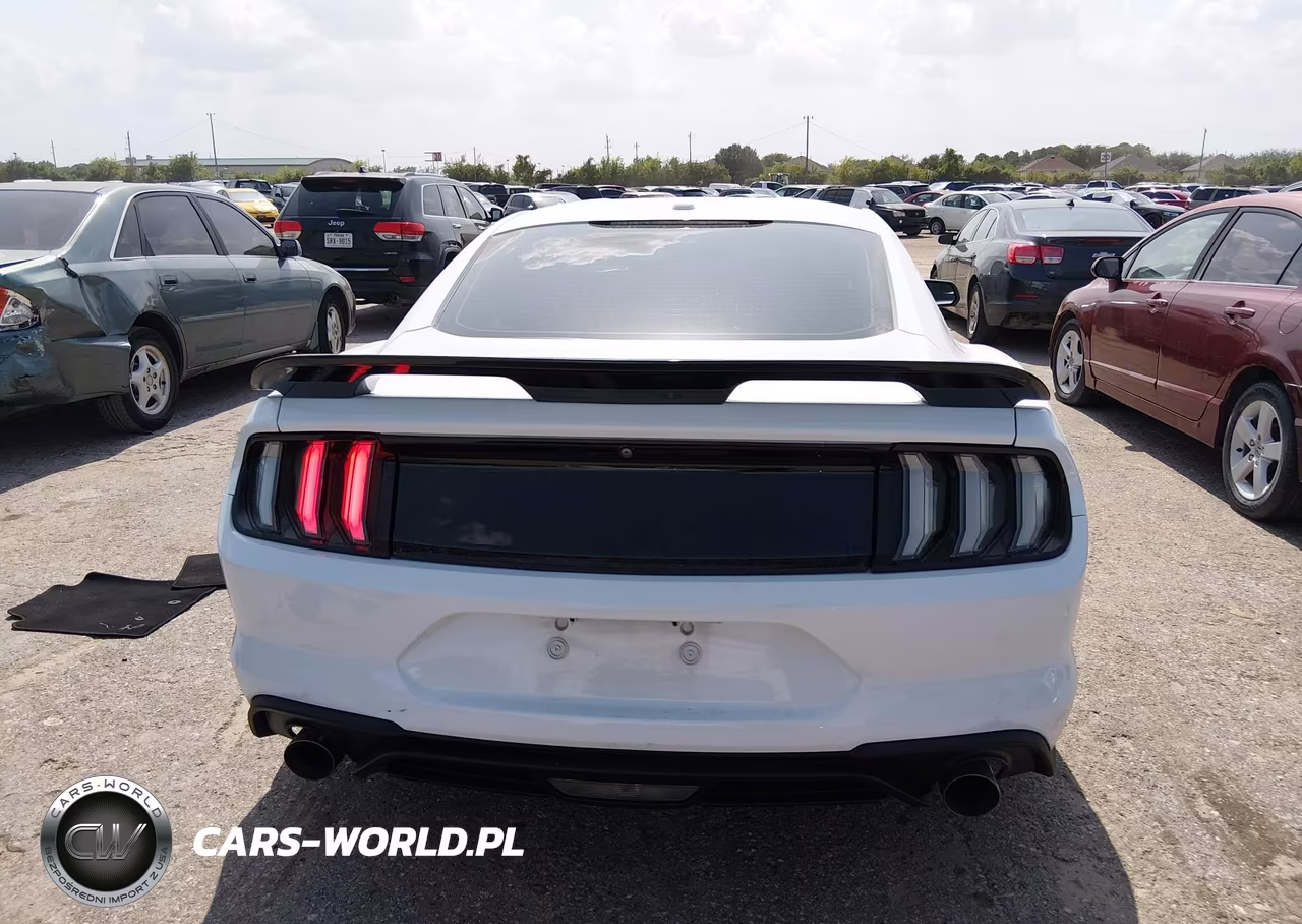 2019 Ford Mustang Ecoboost VIN:1FA6P8TH7K5123179 - 17