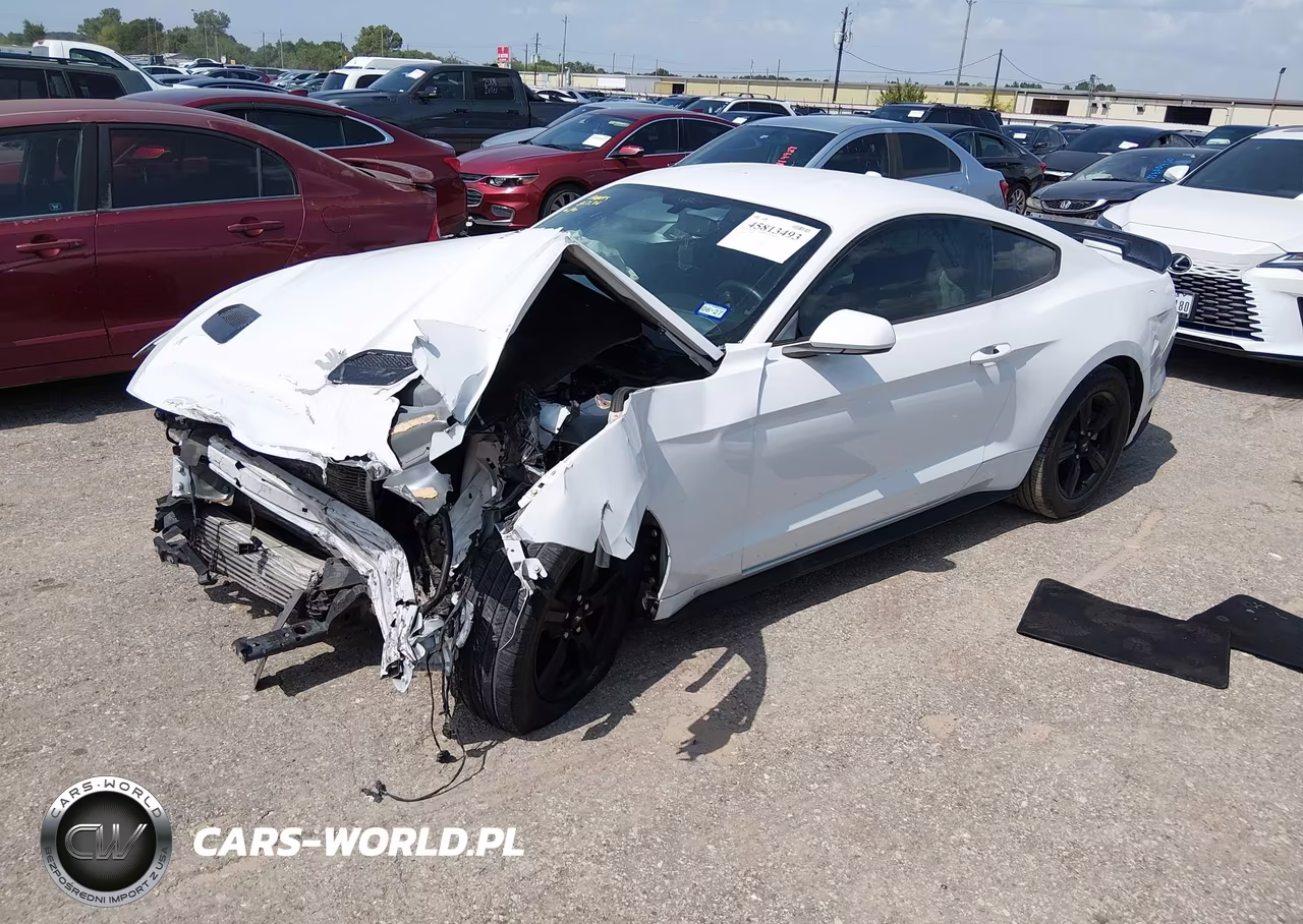 2019 Ford Mustang Ecoboost VIN:1FA6P8TH7K5123179 - 2