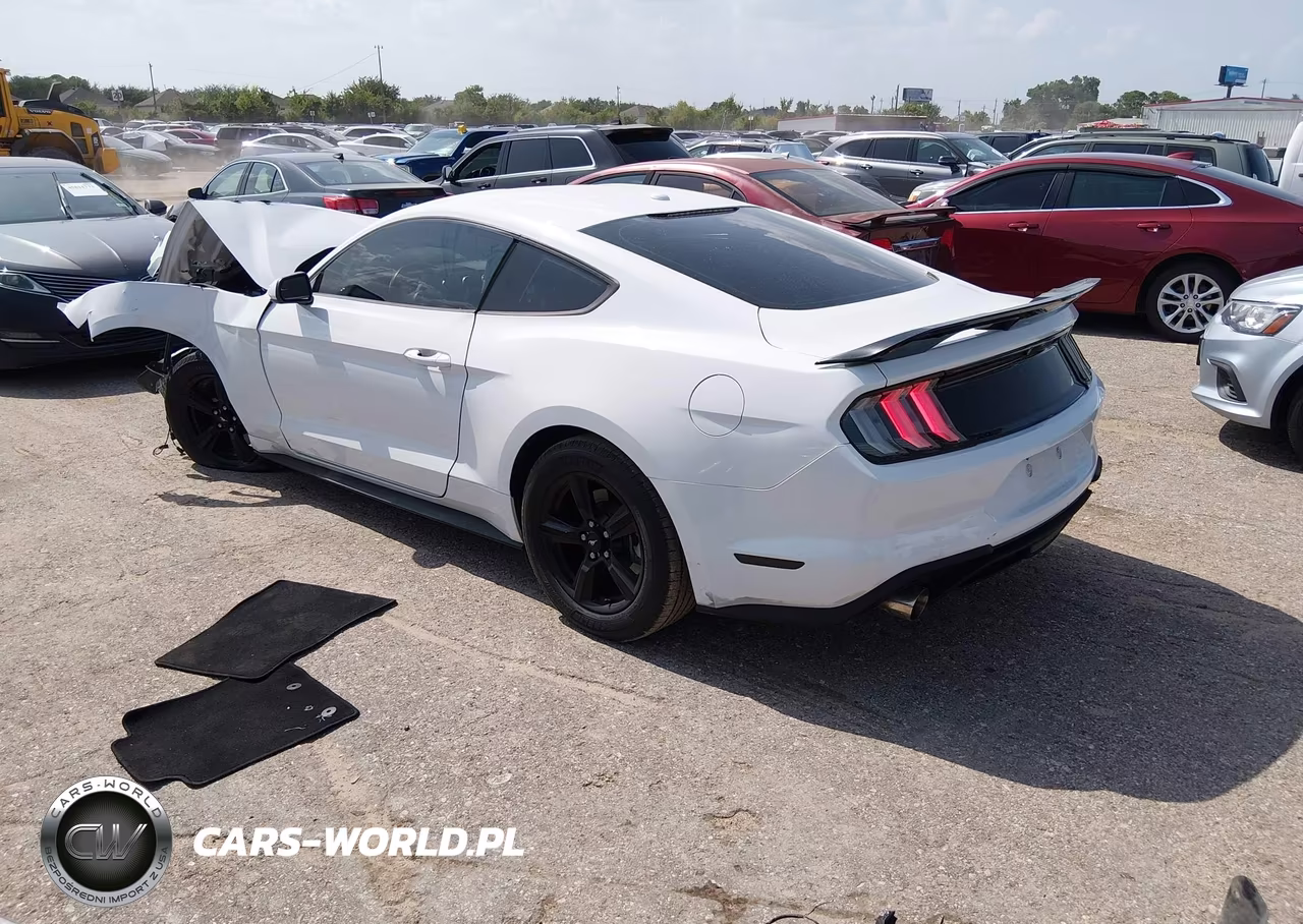 2019 Ford Mustang Ecoboost VIN:1FA6P8TH7K5123179 - 3