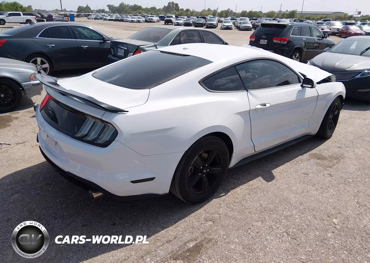 2019 Ford Mustang Ecoboost VIN:1FA6P8TH7K5123179 - 4