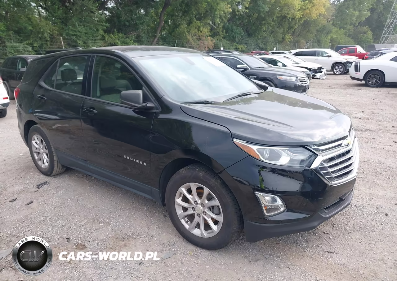 2019 Chevrolet Equinox Ls – zdjęcie 1 z 11