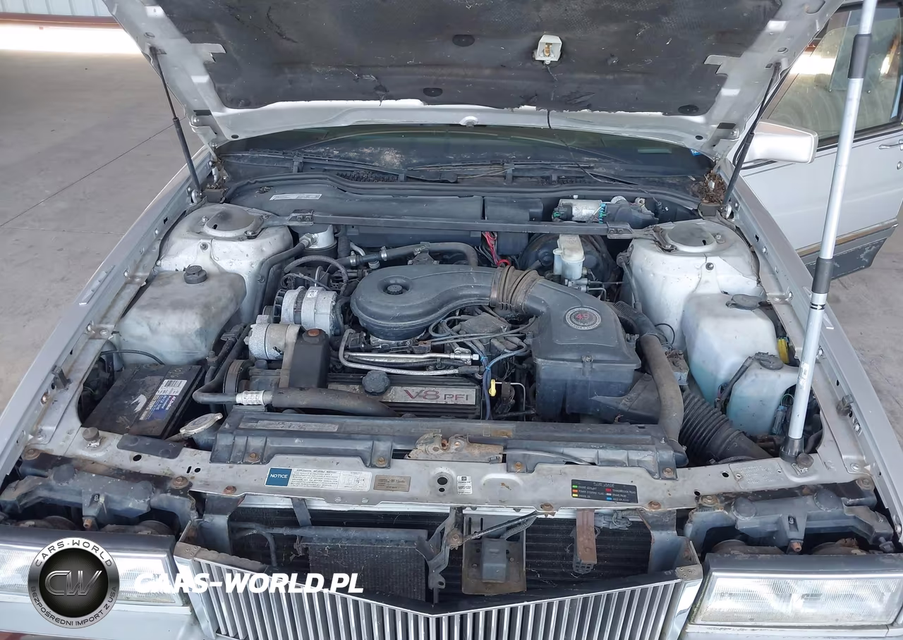 1991 Cadillac Fleetwood VIN:1G6CB53B8M4225625 - 10