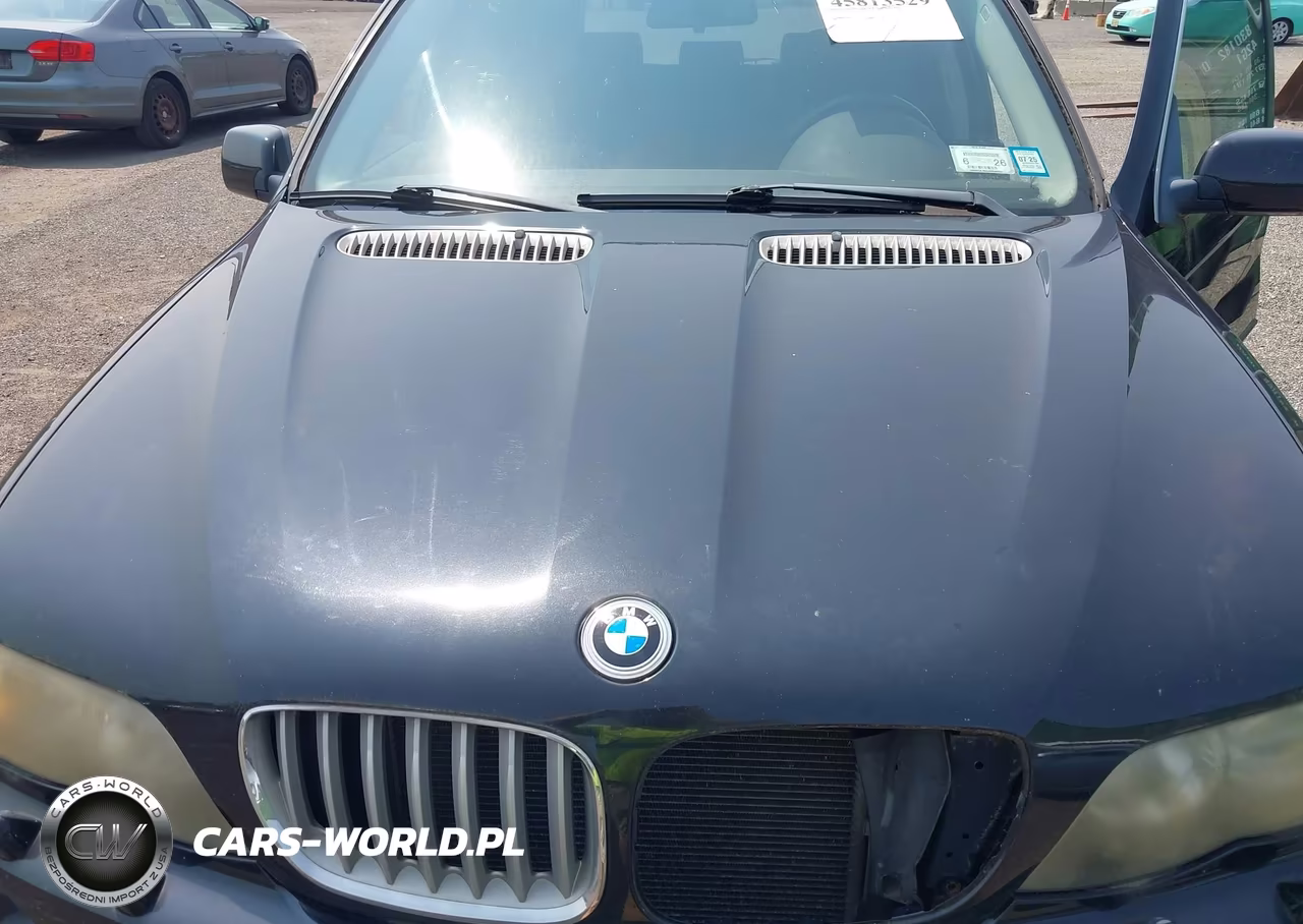 2005 BMW X5 4.4I VIN:5UXFB53575LV16403 - 10