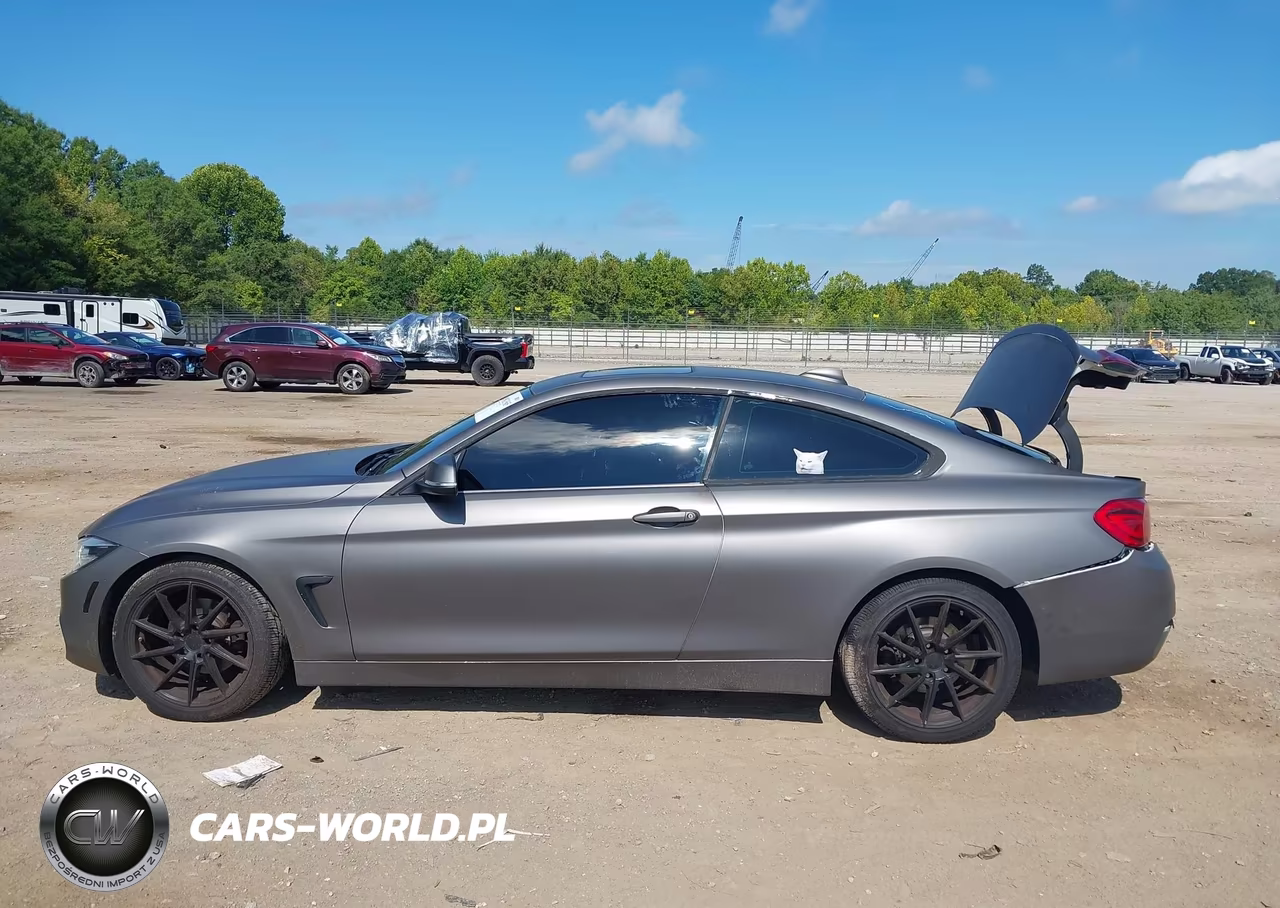 2019 BMW 430I VIN:WBA4W3C50KAF93185 - 14