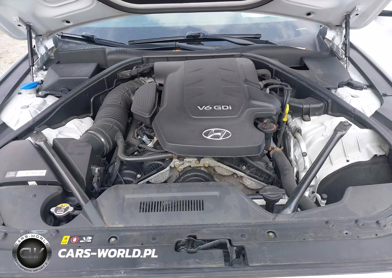 2016 Hyundai Genesis 3.8 VIN:KMHGN4JE3GU137529 - 10