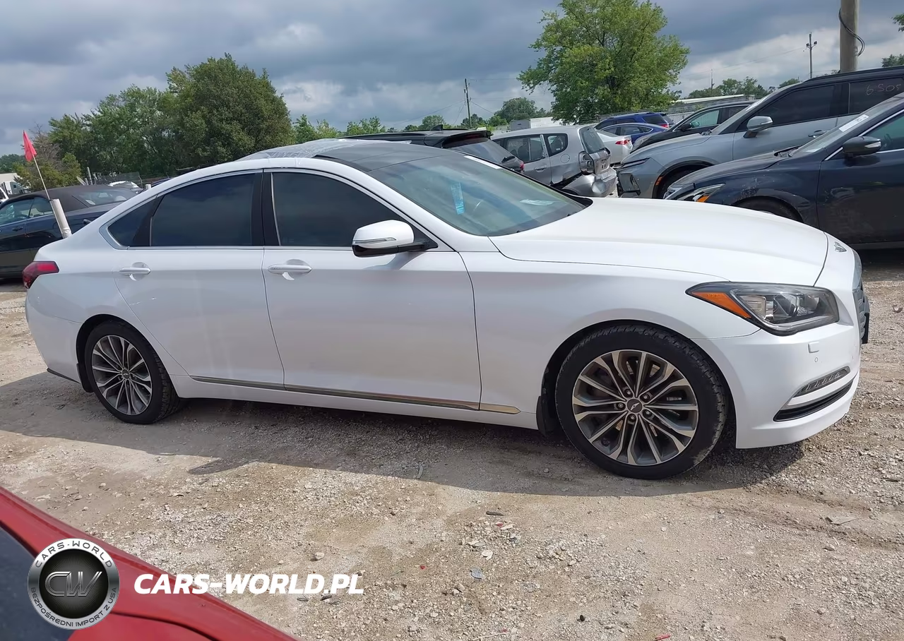 2016 Hyundai Genesis 3.8 VIN:KMHGN4JE3GU137529 - 13