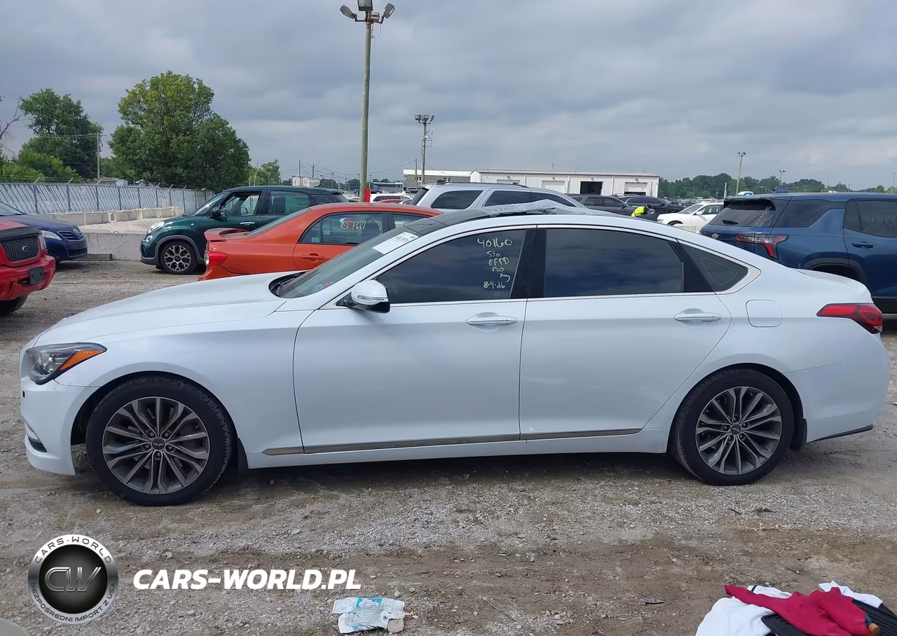 2016 Hyundai Genesis 3.8 VIN:KMHGN4JE3GU137529 - 14
