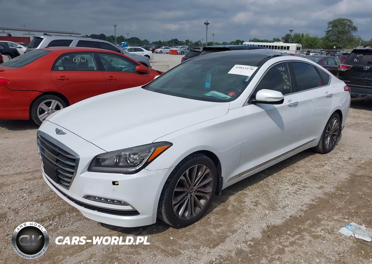 2016 Hyundai Genesis 3.8 VIN:KMHGN4JE3GU137529 - 2