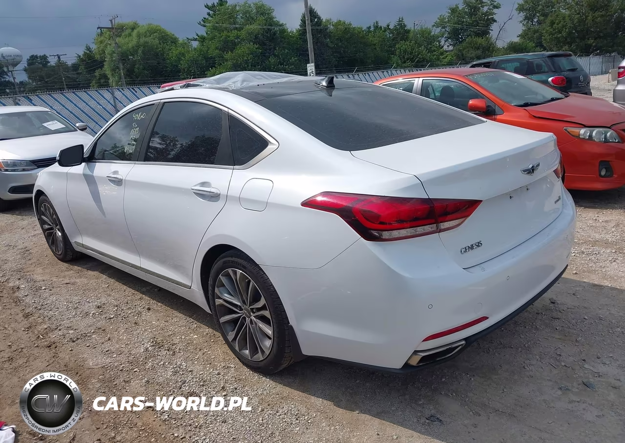 2016 Hyundai Genesis 3.8 VIN:KMHGN4JE3GU137529 - 3