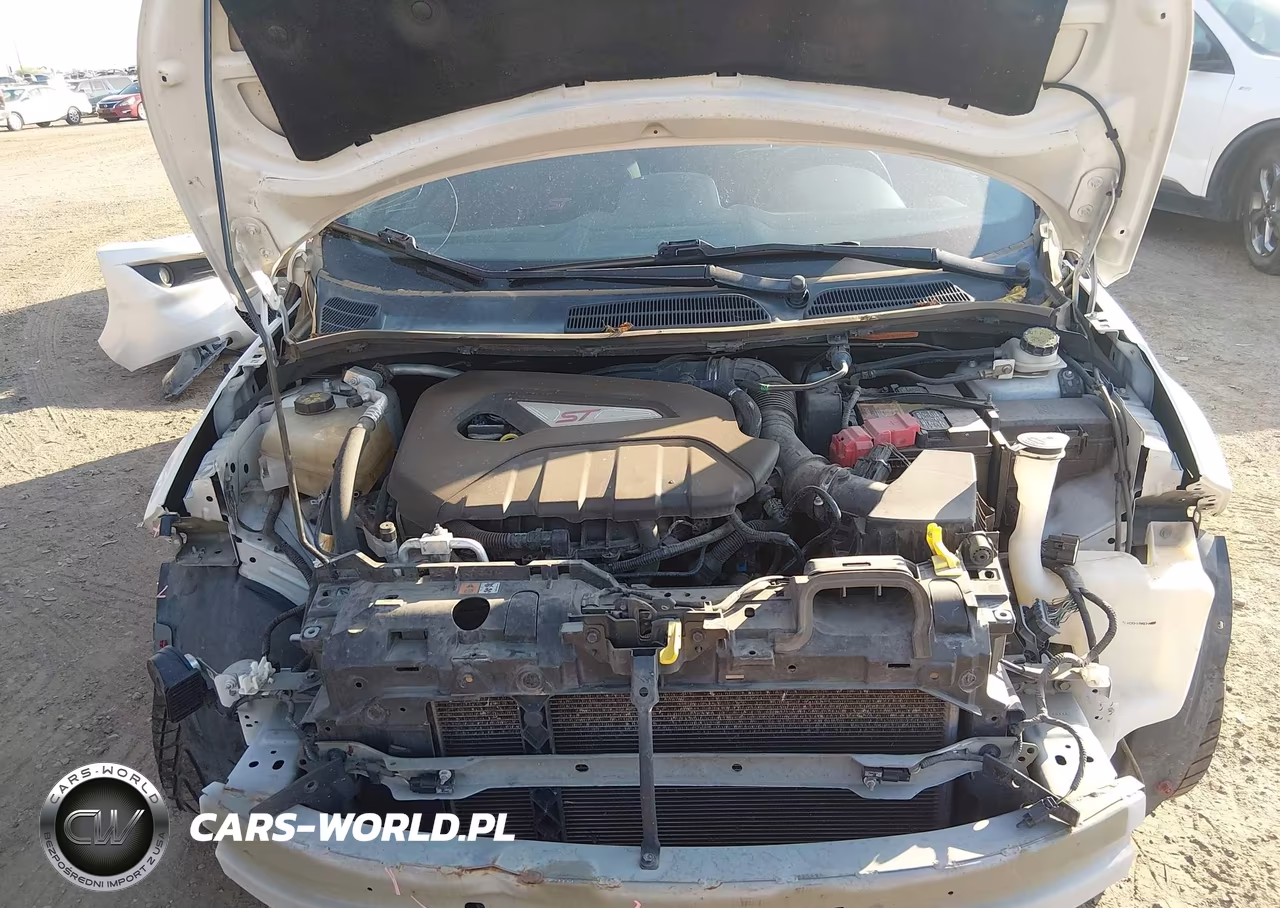 2019 Ford Fiesta St VIN:3FADP4GXXKM152736 - 10