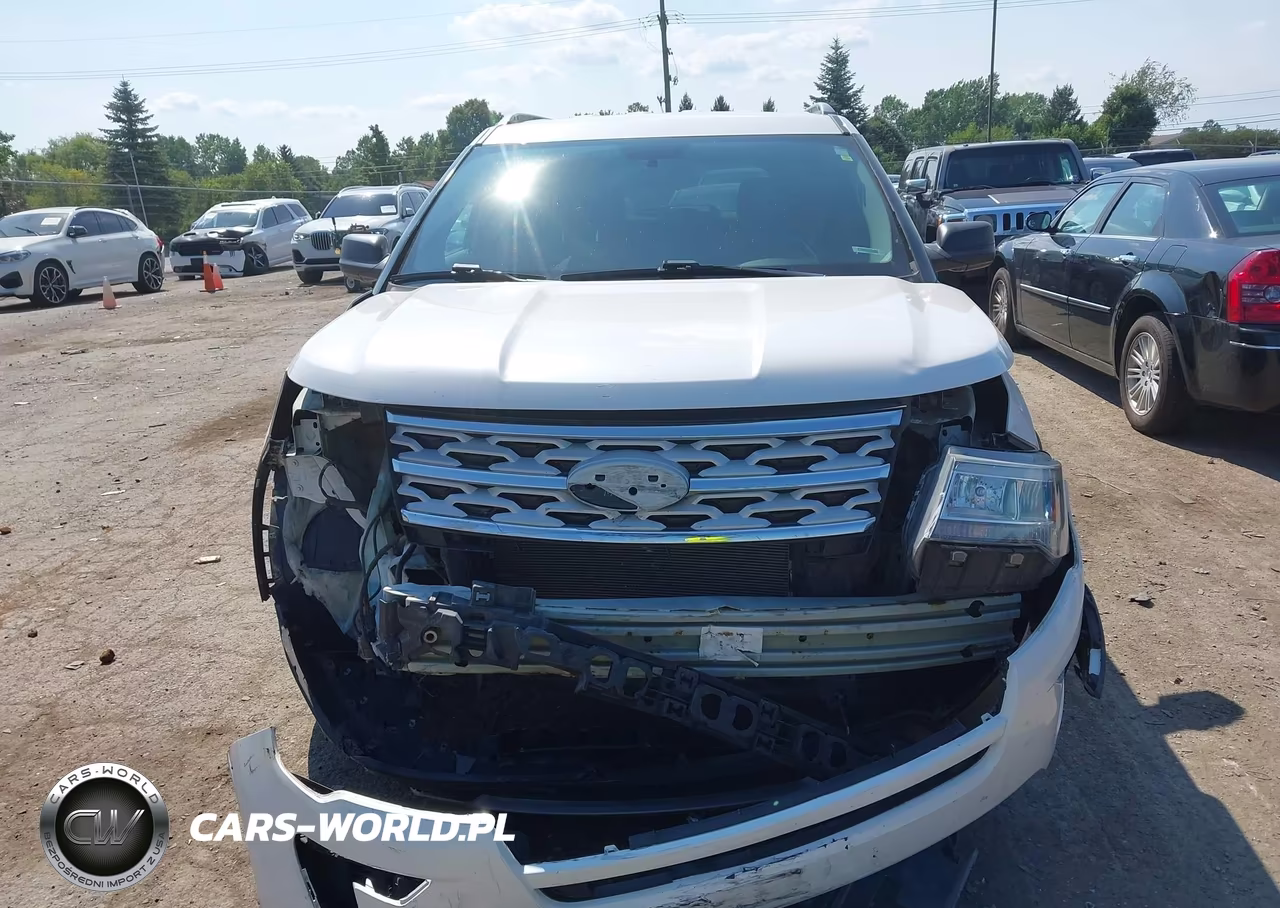 2019 Ford Explorer Xlt VIN:1FM5K8D80KGA21631 - 12