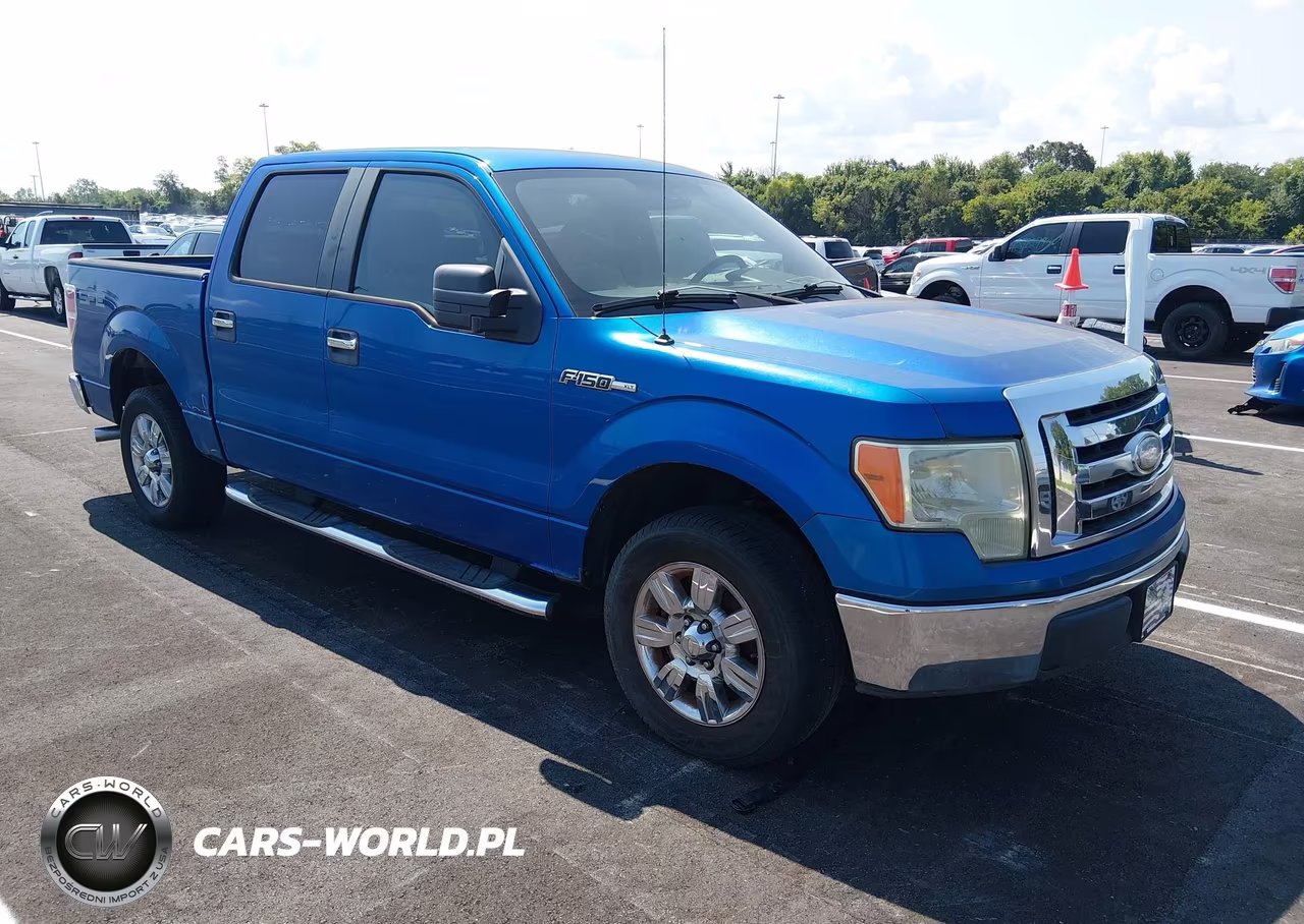 2009 Ford F-150 Xl-Xlt