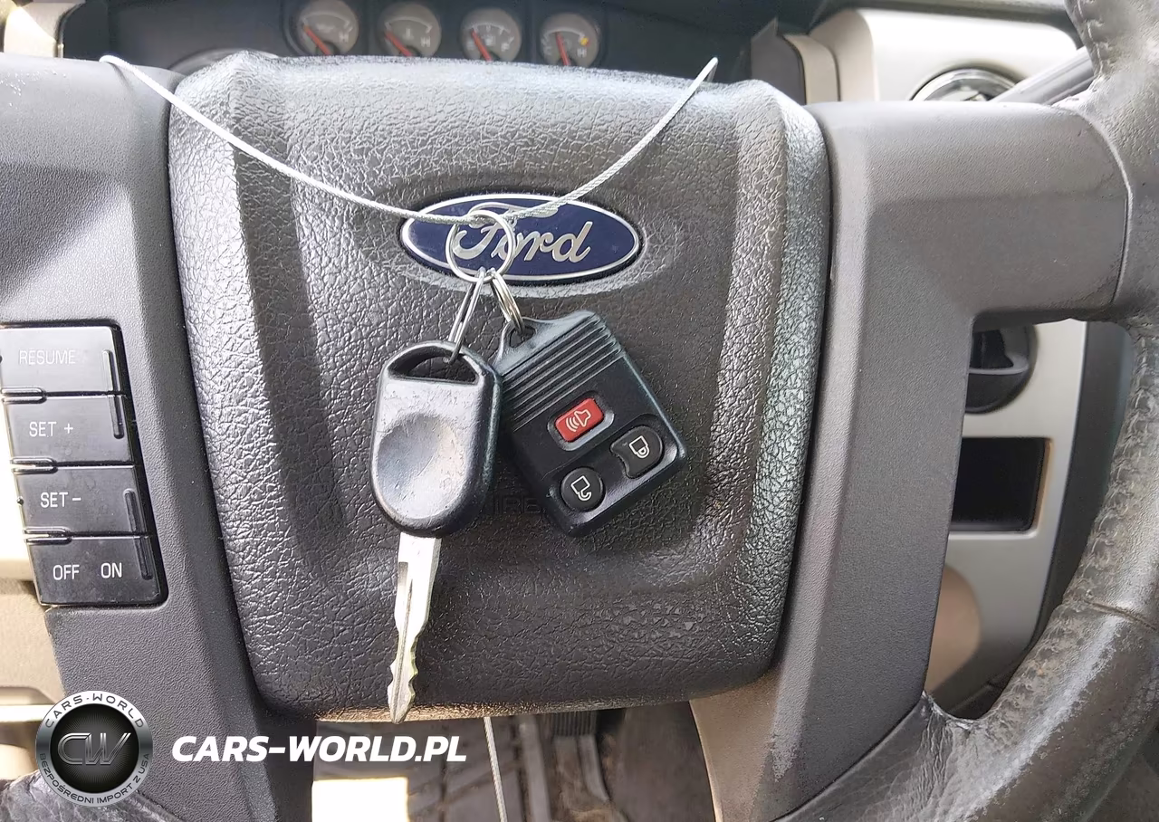 2009 Ford F-150 Xl-Xlt VIN:1FTRW12839FB47356 - 11