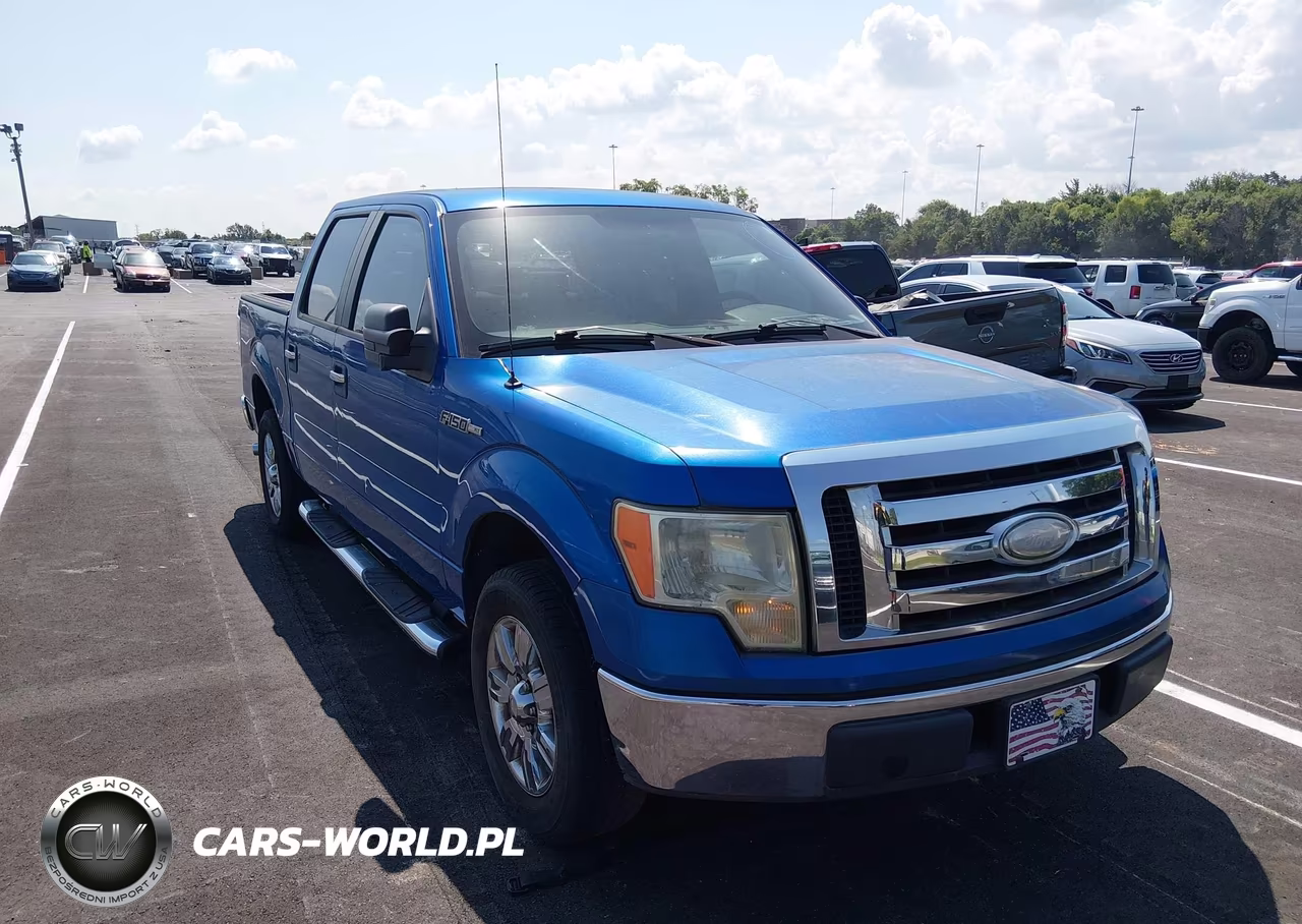 2009 Ford F-150 Xl-Xlt VIN:1FTRW12839FB47356 - 12