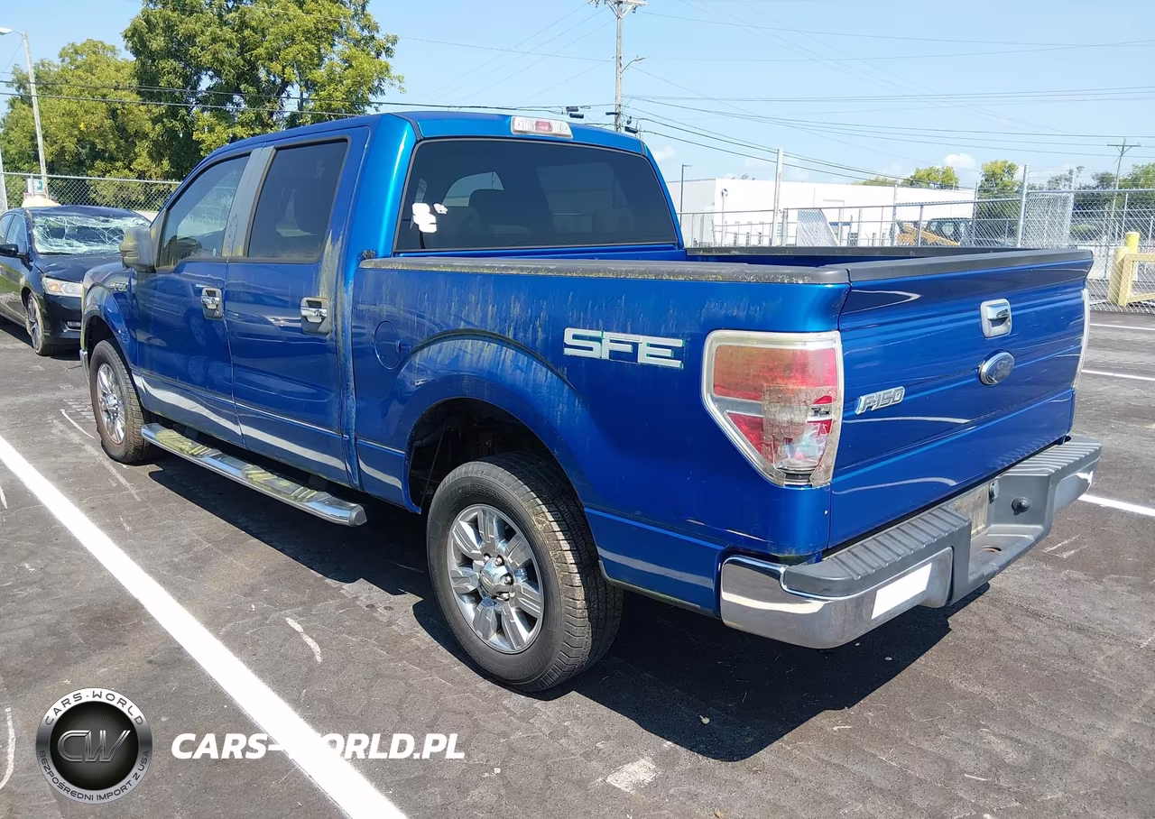 2009 Ford F-150 Xl-Xlt VIN:1FTRW12839FB47356 - 3