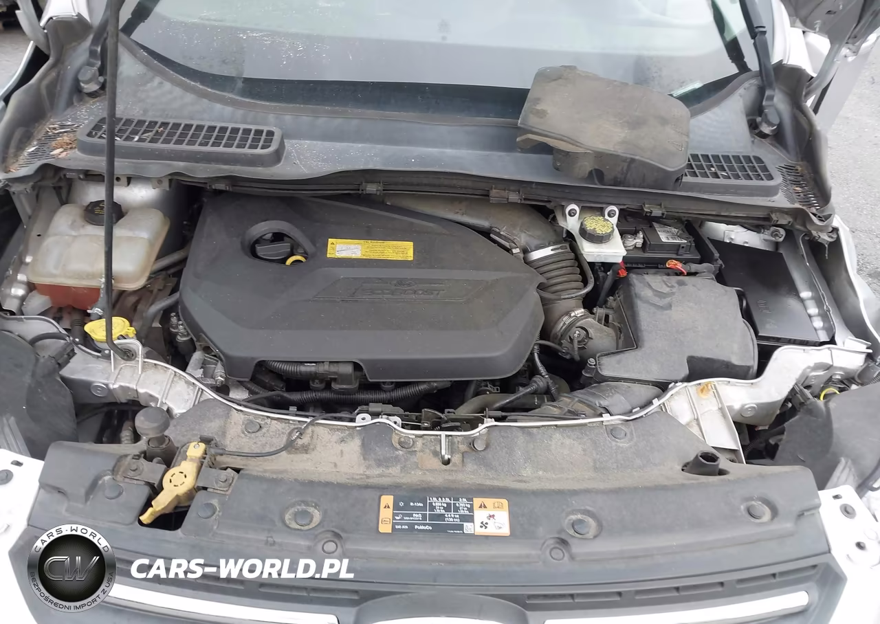 2016 Ford Escape Se VIN:1FMCU0GX4GUC18977 - 10