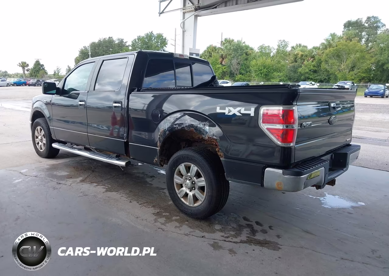 2012 Ford F-150 Xlt VIN:1FTFW1EF1CFC00771 - 3