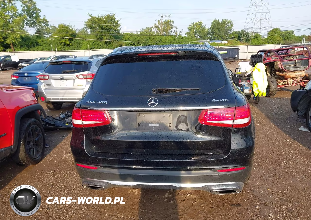 2019 Mercedes-Benz Glc 300 4Matic VIN:WDC0G4KB9KV163473 - 16