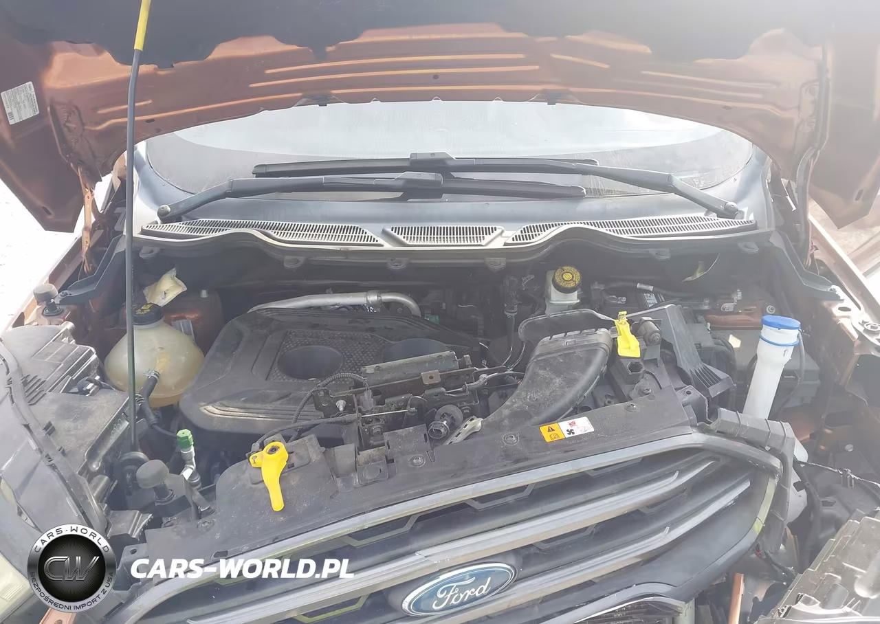 2018 Ford Ecosport Ses VIN:MAJ6P1CL3JC203326 - 10