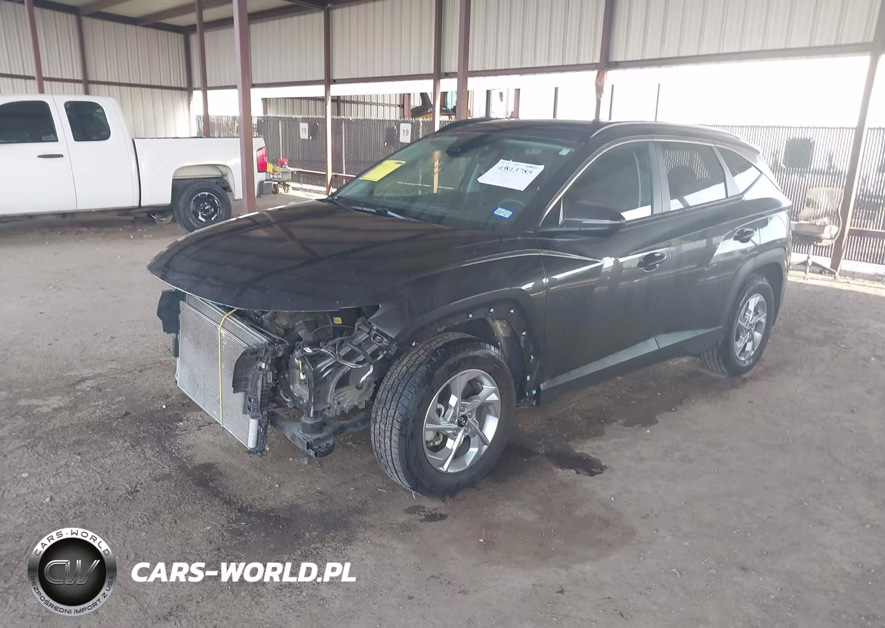2023 Hyundai Tucson Sel VIN:5NMJB3AE9PH261499 - 2
