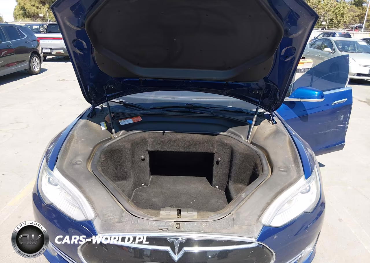 TESLA MODEL S VIN:5YJSA1E15FF113885 - 10