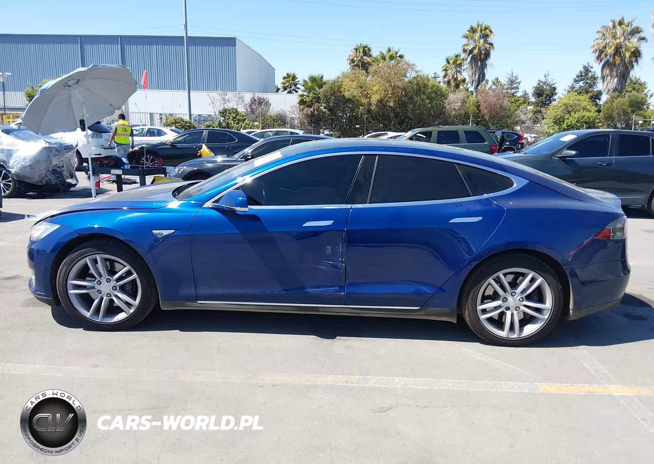 TESLA MODEL S VIN:5YJSA1E15FF113885 - 14