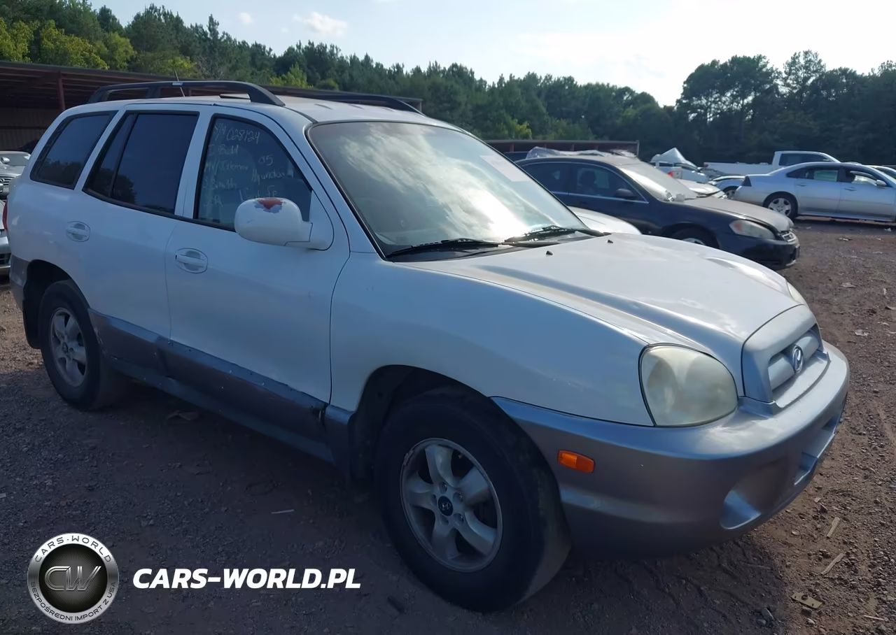 2005 Hyundai Santa Fe Gls-Lx