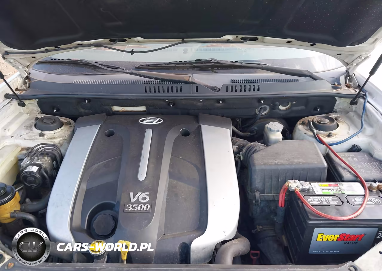 2005 Hyundai Santa Fe Gls-Lx VIN:KM8SC13E15U028124 - 10