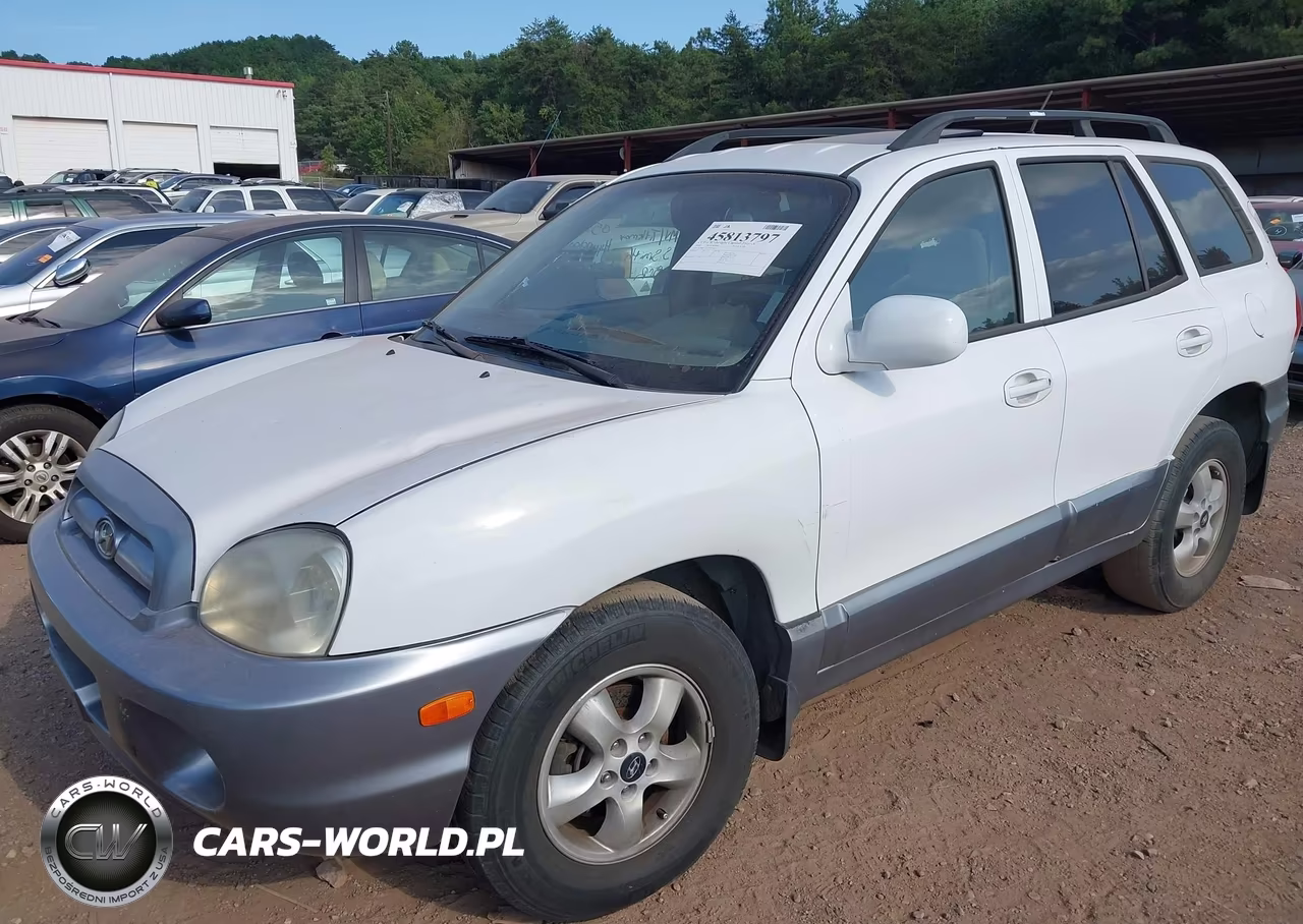 2005 Hyundai Santa Fe Gls-Lx VIN:KM8SC13E15U028124 - 2