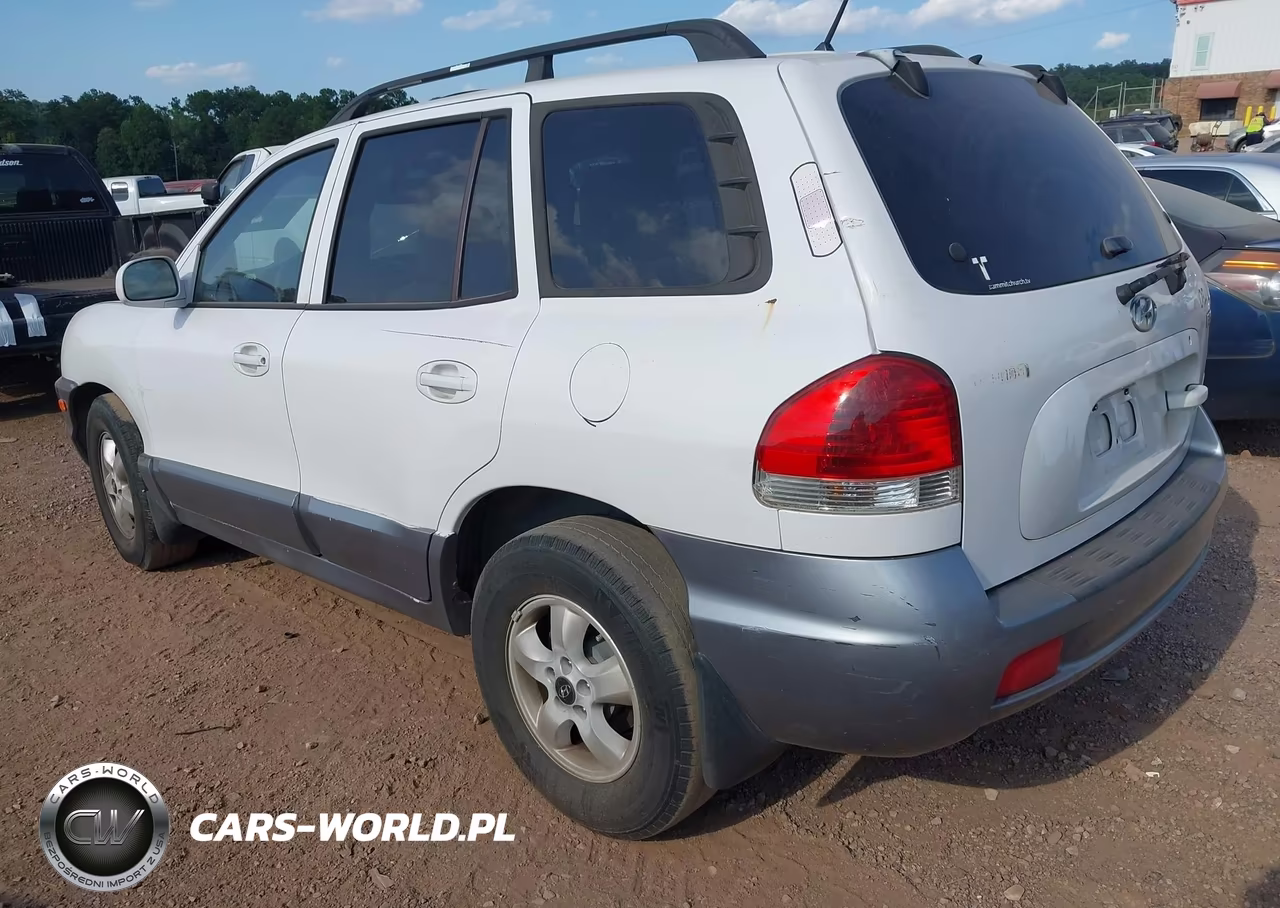 2005 Hyundai Santa Fe Gls-Lx VIN:KM8SC13E15U028124 - 3