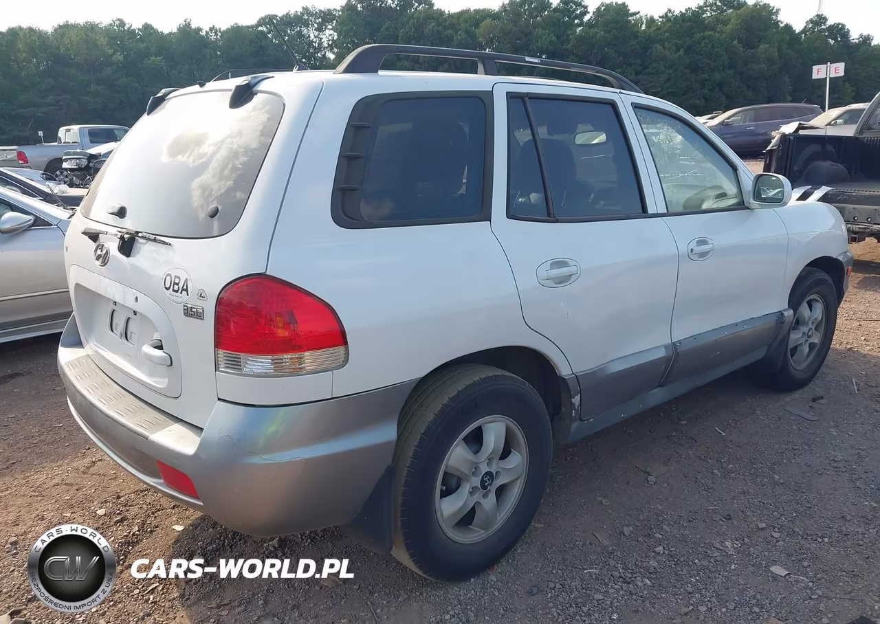 2005 Hyundai Santa Fe Gls-Lx VIN:KM8SC13E15U028124 - 4