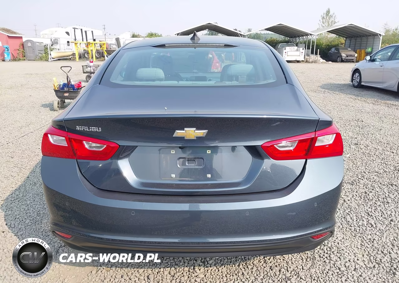2020 Chevrolet Malibu Fwd 1Fl VIN:1G1ZC5ST5LF056089 - 17