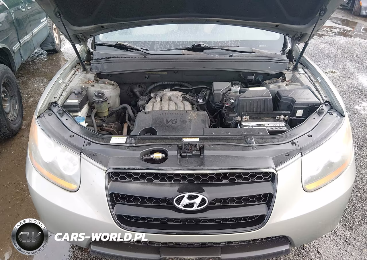 2008 Hyundai Santa Fe Gls VIN:5NMSG13D28H214492 - 10